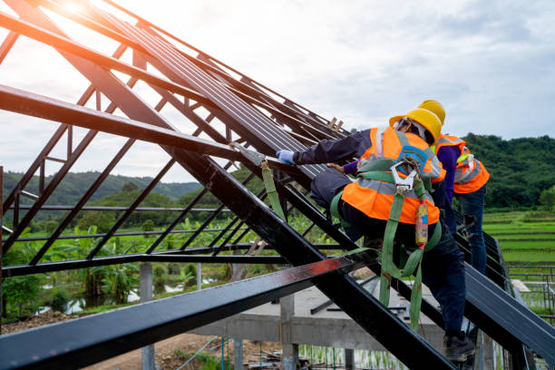 Best Sealant for Roof  in Lincoln, IL