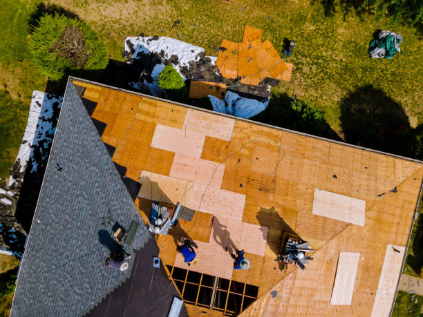 Best Storm Damage Roof Repair  in Lincoln, IL