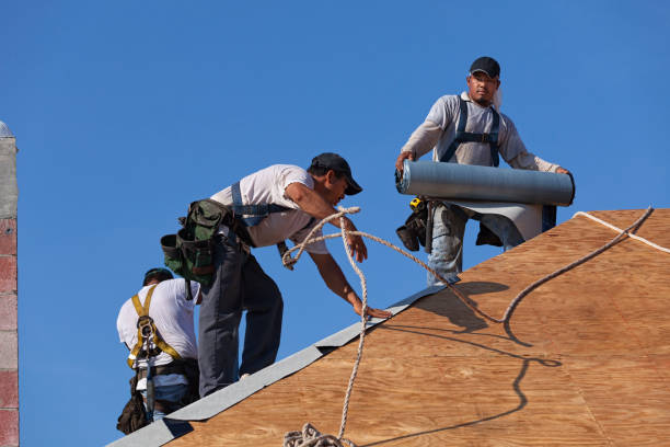 Best Commercial Roofing Services  in Lincoln, IL