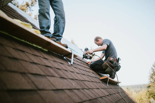 Best Flat Roof Repair Services  in Lincoln, IL